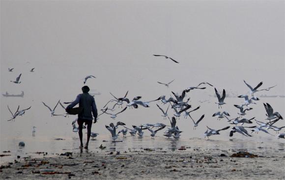 A vendor on the banks of the Sangam