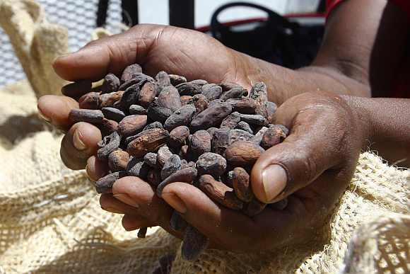 A man holds cocoa beans in Barlovento, in Venezuela