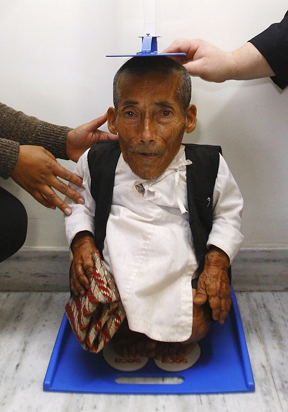 Dangi is measured by the Editor-in-Chief of Guinness World Record Craig Glenday (R) and Dr Rashila Pradhan (L) in Kathmandu