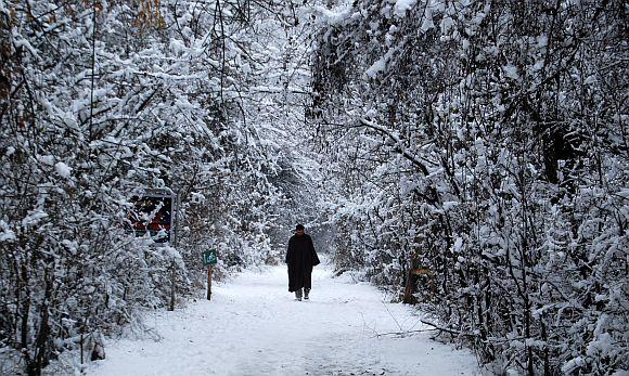 A man walks through the frozen Dachigam national reserve near Srinagar on Monday