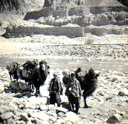 The river Shyok meanders on to join the Indus and on into Pakistan