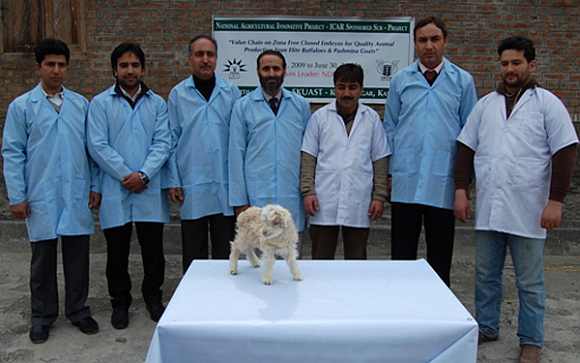 A team of Kashmiri scientists pose with clone at the Sheri Kashmir University of Agriculture Sciences and Technology