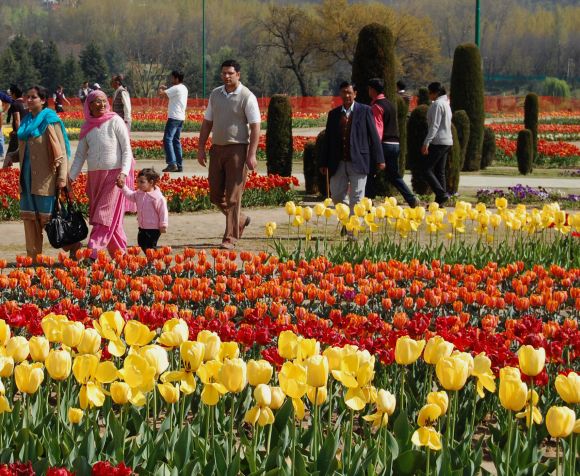 Tourists at the Tulip garden in Srinagar