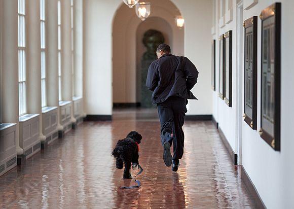 President Barack Obama runs down the East Colonnade with family dog, Bo, on the dog's initial visit to the White House, March 15, 2009. Bo came back to live at the White House in April.