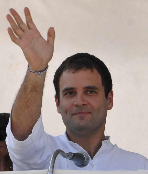 Congress President Rahul Gandhi