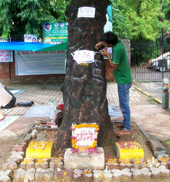 A paper marking the number of days of protest is pinned to the trunk of the tree