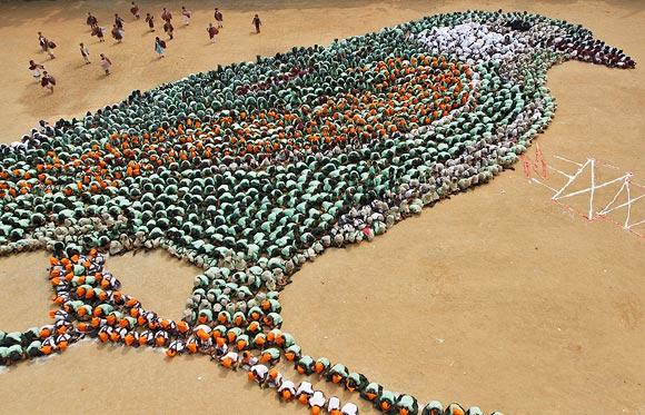 Top: School students make the formation of a sparrow during a programme to create awareness to save the bird in Chennai. Right: A Rs 309 nesting box