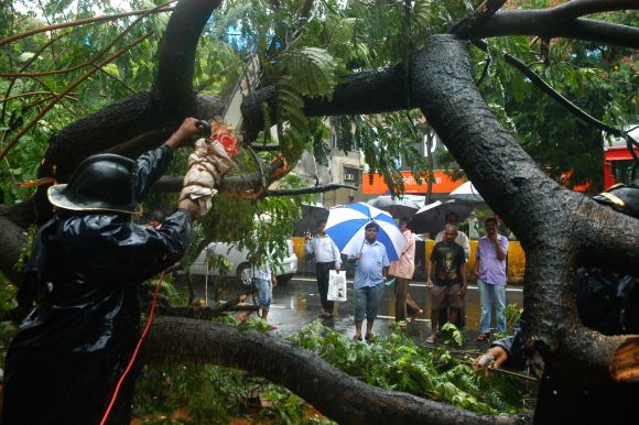 Firefighters try to cut a giant tree that fell on L J Road in  Mahim due to continuous heavy rains that has lashed Mumbai.