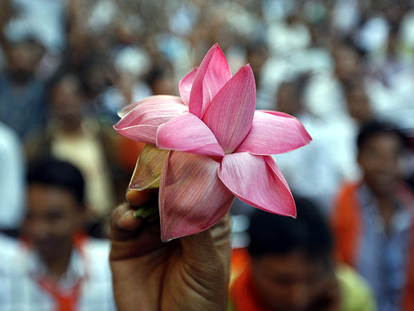 A BJP supporter holds the party's lotus symbol during a ceremony outside the BJP office in Ahmedabad.
