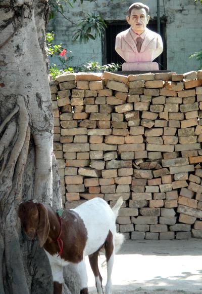 George Orwell's bust at his birthplace, with pink stains from the colour thrown on it during Holi. Goats and pigs wander under it.