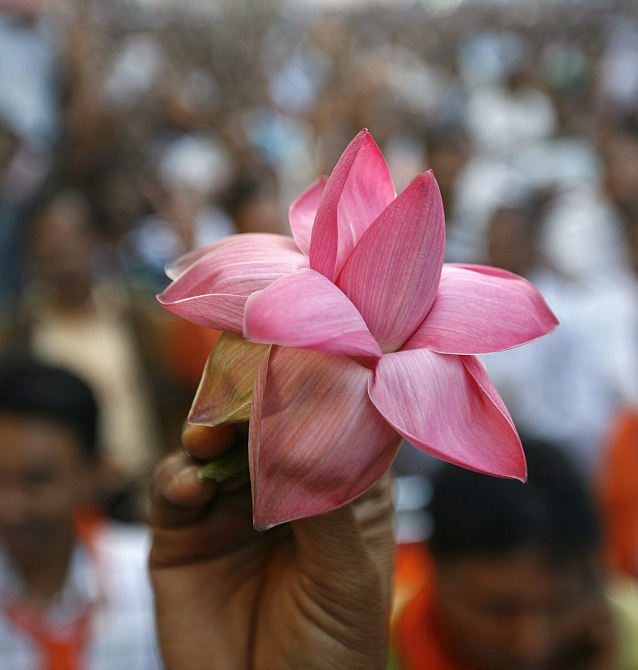 A BJP supporter holds his party's lotus symbol outside the party office in Ahmedabad