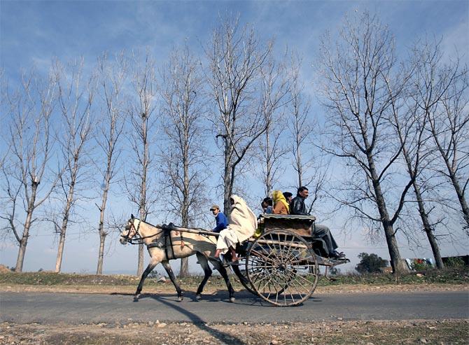 Indians on a horse cart in Bishnah, about 25 kms south of Jammu.