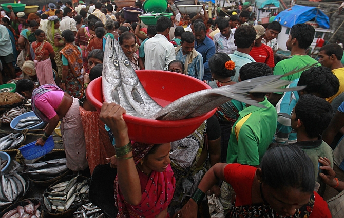 A woman carries fish for sale in a wholesale market at a fish harbour in Mumba