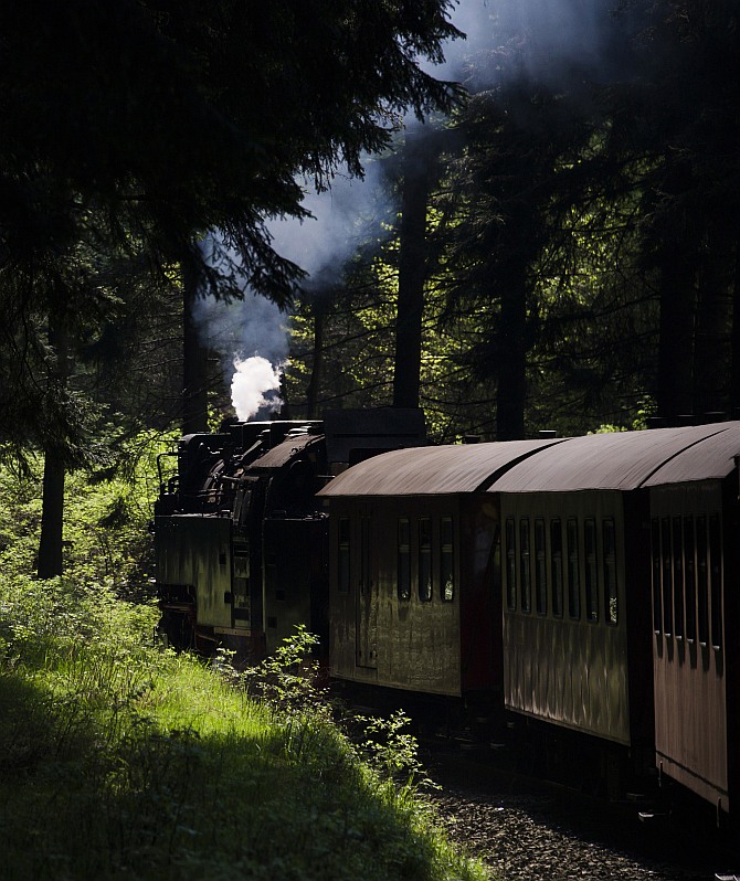 A HSB train travels through dense forest covering the Harz mountains near Wernigerode