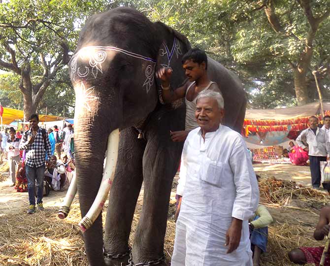 Brajnandan Singh brought his elephant, Babusaheb, to the Sonepur fair.