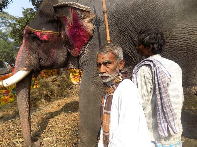 JD-U MLA Shyam Bahadur Singh was accompanied by his elephant, Gaman.