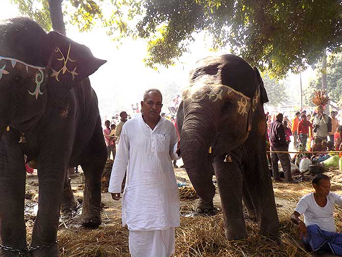 Rama Singh with his elephants, Durga and Pushpa