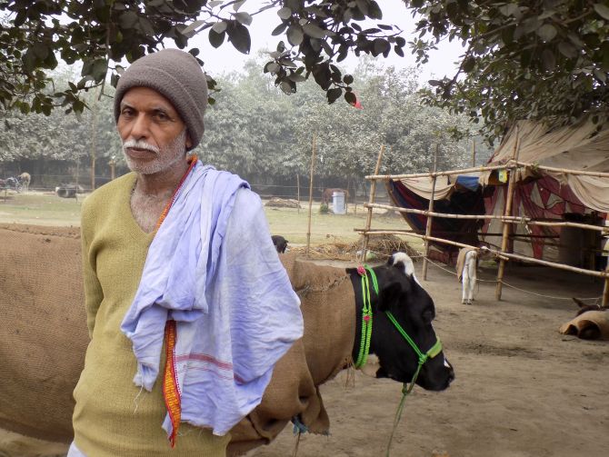 Cattle trader at Sonepur Fair