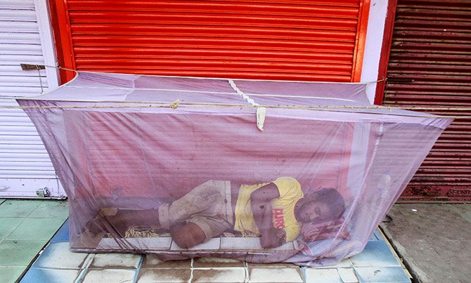 A man sleeps under a mosquito net installed in front of closed shops on a hot summer morning in Agartala, India, May 9, 2016. Photo: Jayanta Dey/Reuters