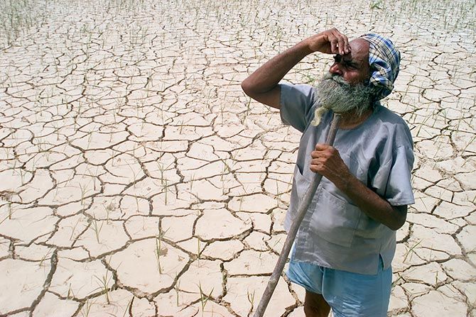 A farmer stands in his parched field, waiting for the rain.