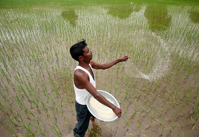 A farmer sowing seeds