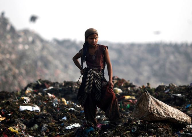 A girl collects recyclable material at a garbage dump in New Delhi February 2, 2014. Photo: Adnan Abidi/ReutersS