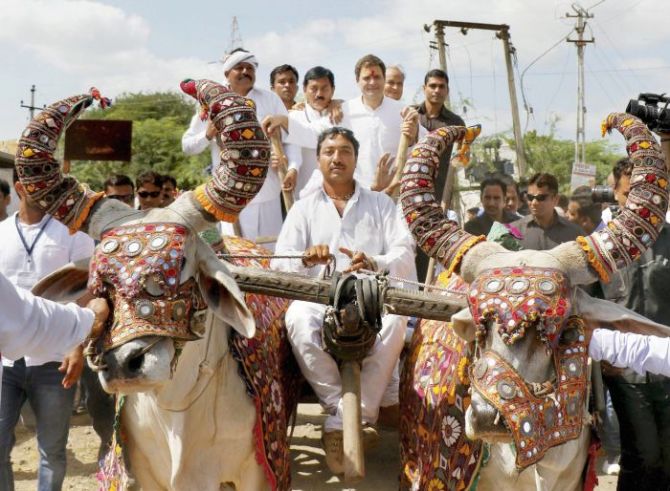 Rahul Gandhi on the campaign trail in Gujarat: Hanjadapar village, Dwarka district. Photograph: PTI Photo