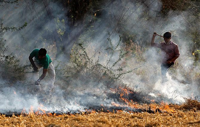 Farmers burn paddy waste stubble in a field on the outskirts of Ahmedabad, India November 15, 2017. Photograph: Amit Dave/Reuters