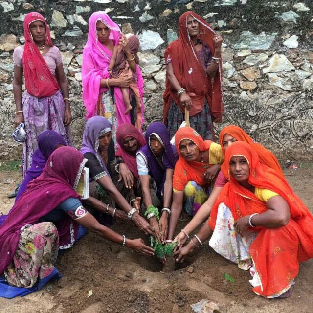 Local women of Mewar, Rajasthan