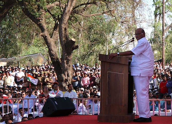 NCP president Sharad Pawar at a rally in Baramati, Maharashtra. Photograph: Rajesh Karkera/Rediff.com.