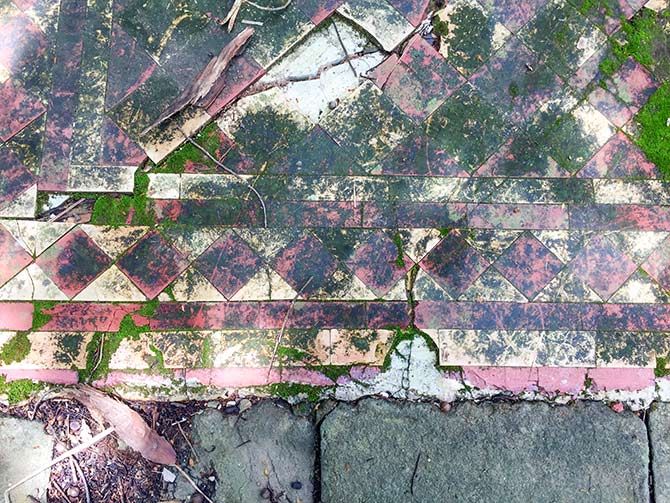 What's left of the Italian tiles at the Government House at Ross Island, Andaman islands. Photograph: Vaihayasi Pande Daniel/Rediff.com.