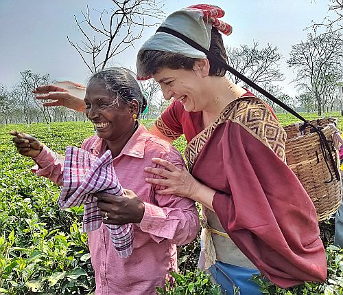 Priyanka Gandhi Vadra picks tea at a garden in Assam
