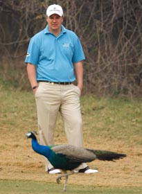 Ross McGowan of England watches a peacock on the 13th hole