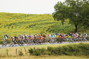 The peloton rides through the French countryside