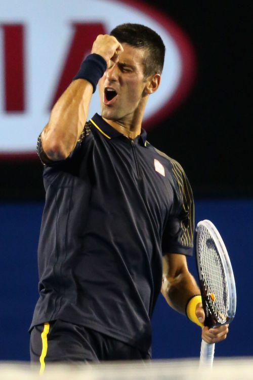 Novak Djokovic of Serbia celebrates winning his semifinal match against David Ferrer of Spain