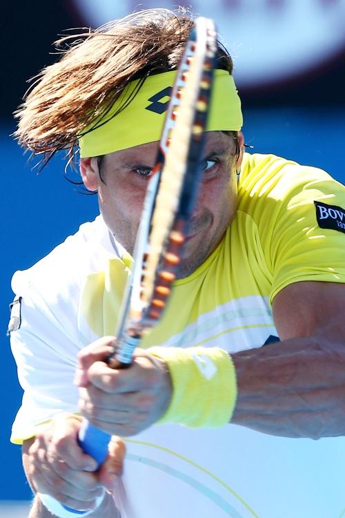 David Ferrer