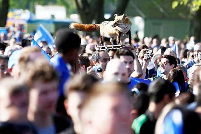 Leicester fans with a pretend fox before the parade