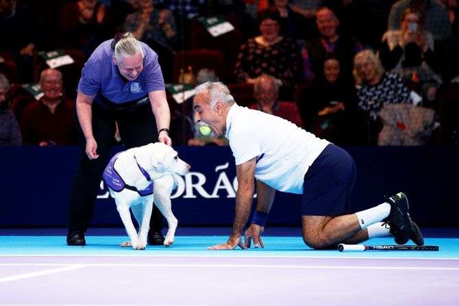 Mansour Bahrami kneels with a tennis ball in his mouth next to one of the dogs from the charity 'Canine Partners' during the Champions Tennis doubles match