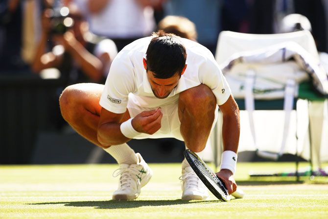 Novak Djokovic picks out a blade of grass and eats it as he celebrates his victory over Kevin Anderson