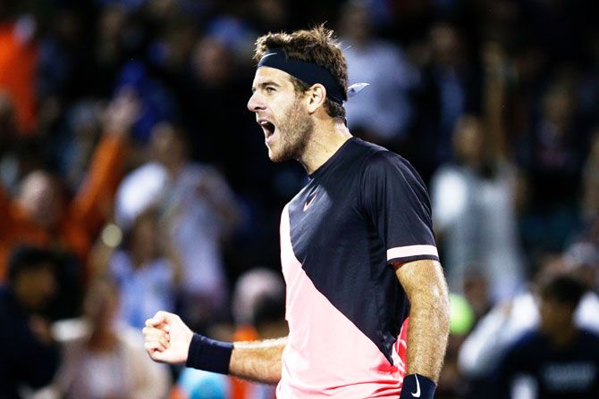 Argentina's Juan Martin Del Potro celebrates after defeating Canada's Milos Raonic in the quarter-final Miami Open at Crandon Park Tennis Center in Key Biscayne, Florida, on Wednesday