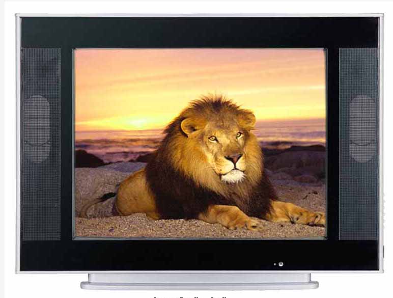 How The Television Has Changed Since 1950s World Television Day 2014