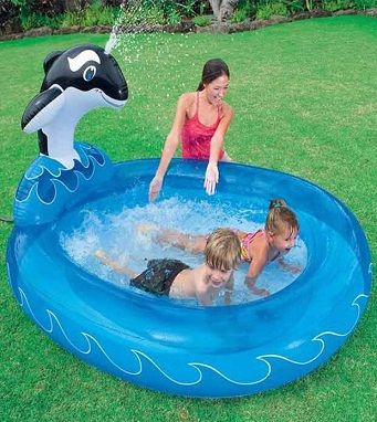 Whale Pool