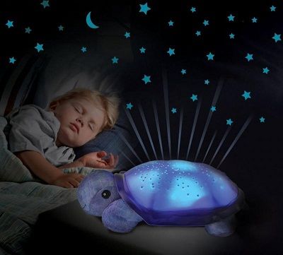 Turtle Projector Lamp