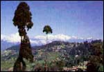 The town of Darjeeling. Pix by Jaideep Mukerji