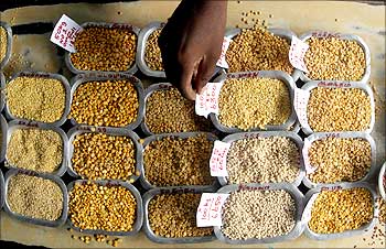A man arranges price tags on the samples of various pulses at a wholesale market in Chennai.