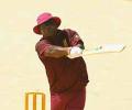 Windies bring in Haynes as batting consultant 