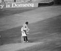 Original British streaker to light up Lords... but fully dressed!
