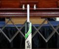 Hughes' bat to be taken to top of Mount Everest