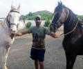 When horse riding and an old friendship helped Jadeja through stressful times