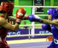 Mary Kom, Sarita Devi enter final round of SAG qualifiers